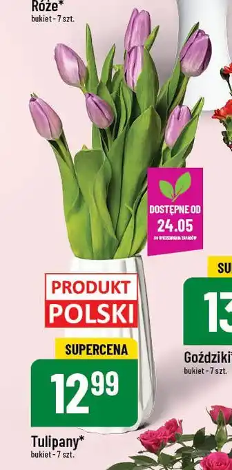 Polomarket Tulipany oferta