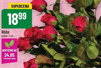 Polomarket Róże oferta