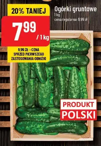 Polomarket Ogórki gruntowe oferta