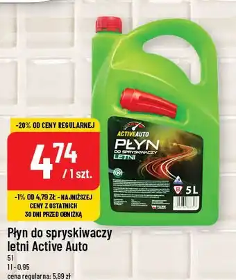 Płyn do spryskiwaczy Letni Active Duo