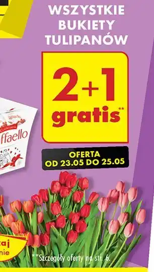 Biedronka Bukiet tulipanow oferta