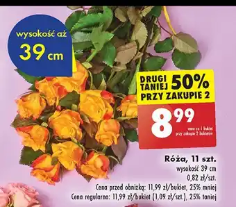 Biedronka Róża 39 cm oferta