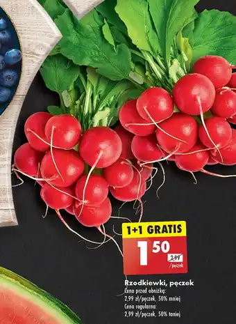 Biedronka Rzodkiewka oferta