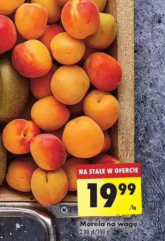 Biedronka Morela oferta