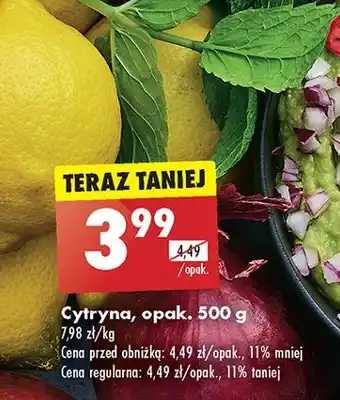Biedronka Cytryny oferta