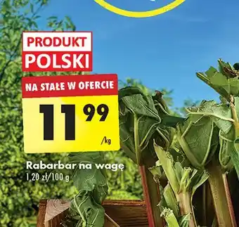 Biedronka Rabarbar oferta