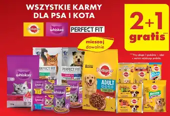 Biedronka Karma dla psa poniżej 10 kg adult 1+ Perfect Fit oferta