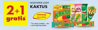 Biedronka Lody shake malina Nestle Kaktus oferta