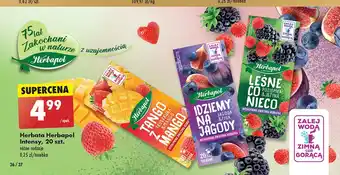 Biedronka Herbata leśne co nieco Herbapol oferta