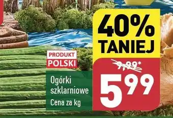 ALDI Ogórek szklarniowy polska oferta