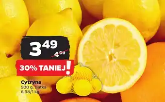 Netto Cytryna oferta