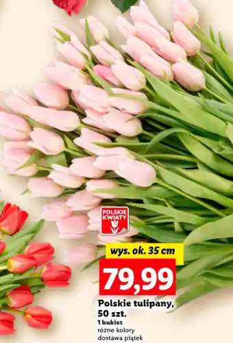 Lidl Bukiet Polskie kwiaty oferta