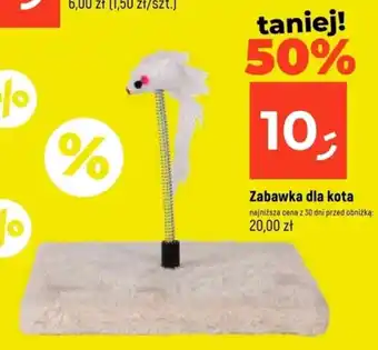Dealz Zabawka dla kota oferta