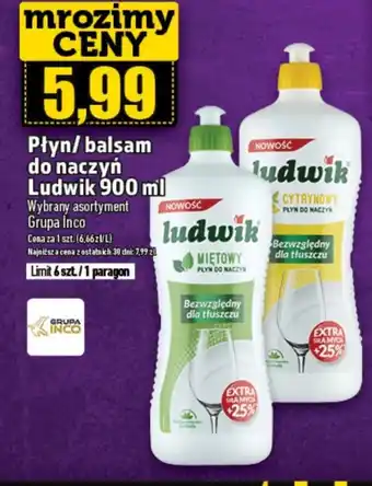Topaz Płyn do naczyń Ludwik oferta