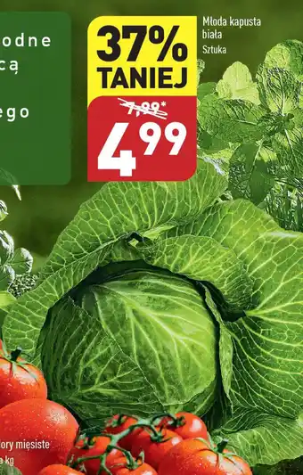 ALDI Młoda kapusta biała oferta