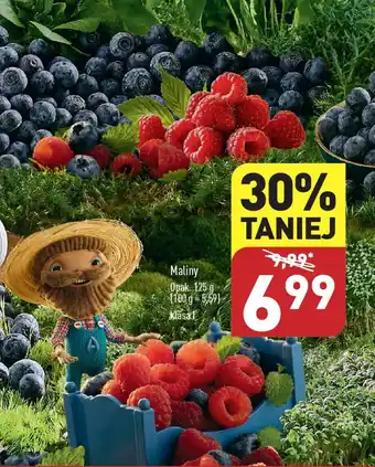 ALDI Maliny 125 g oferta