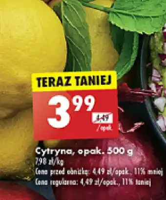 Biedronka Cytryna 500 g oferta