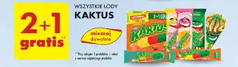 Biedronka WSZYSTKIE LODY KAKTUS oferta