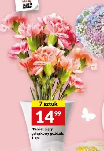 Twój Market *Bukiet cięty gałązkowy goździk, 1 kpl. oferta