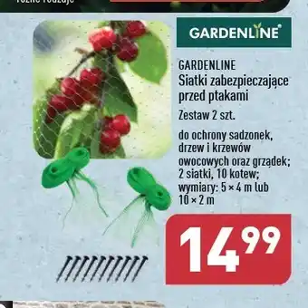 ALDI Siatka chroniąca przed ptakami 10 x 2 m Gardenline oferta