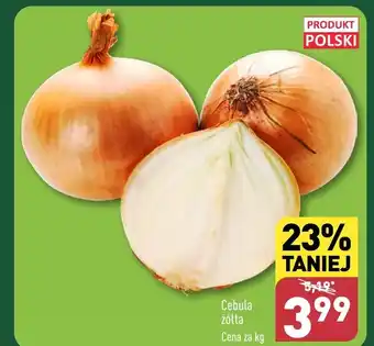 ALDI Cebula Polski oferta