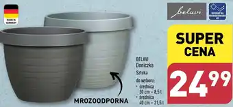ALDI Doniczka Belavi oferta