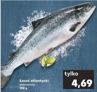 Kaufland Łosoś oferta