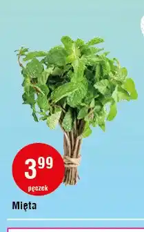E.Leclerc Mięta oferta