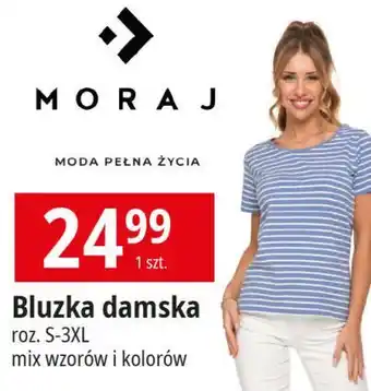 E.Leclerc Bluzka damska Moraj oferta