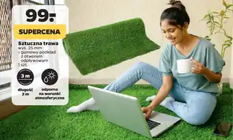 Netto Sztuczna trawa wys. 25 mm oferta