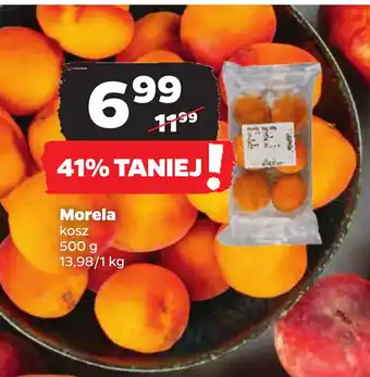 Netto Morela oferta