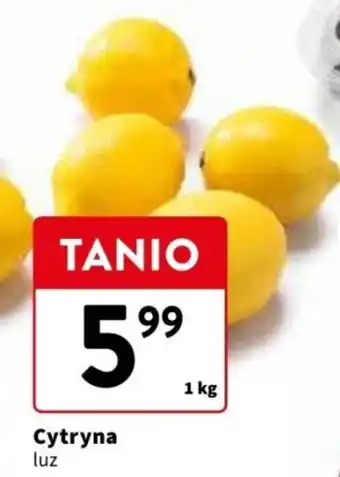 Intermarche Cytryna luz 1 kg oferta