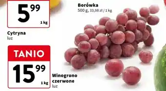 Intermarche Winogrono czerwone 1 kg oferta