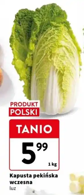 Intermarche Kapusta pekińska wczesna 1 kg oferta