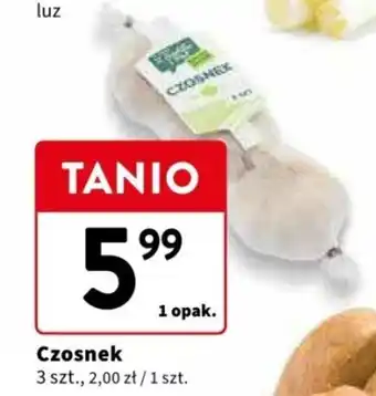 Intermarche Czosnek 3szt oferta