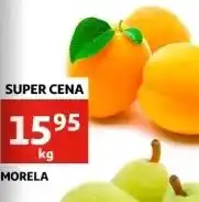 Auchan Morele oferta