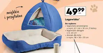 Biedronka Legowisko oferta