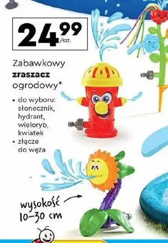 Biedronka Zraszacz ogrodowy słonecznik oferta