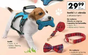Biedronka Szelki dla psa rozm. s Activ Pet oferta