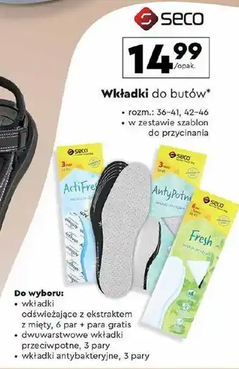 Biedronka Wkładki antybakteryjne 36-41 Seco oferta