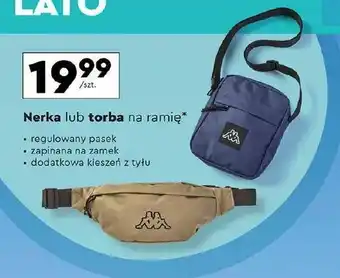 Biedronka Nerka Kappa oferta