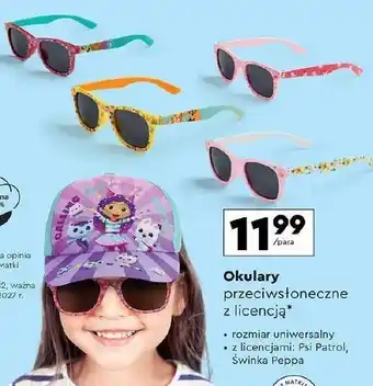 Biedronka Okulary przeciwsłoneczne dziewczęce psi patrol oferta