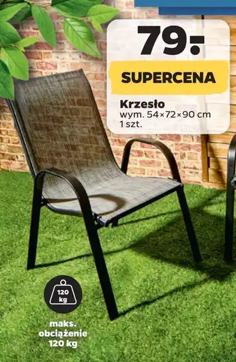 Netto Krzesło 54 x 72 90 cm oferta