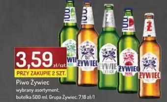 Avita Piwo Żywiec 500 ml, Grupa Żywiec oferta