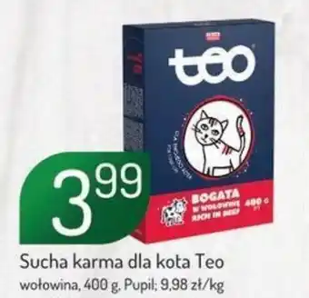 Avita Sucha karma dla kota Teo wołowina, 400 g. Pupil oferta