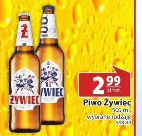 Nasz Sklep Piwo Żywiec oferta