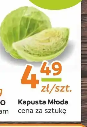 Społem Kapusta młoda oferta
