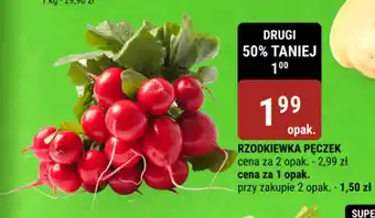 bi1 RZODKIEWKA PĘCZEK oferta