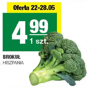 Spar BROKUŁ oferta