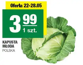 Spar KAPUSTA MŁODA oferta